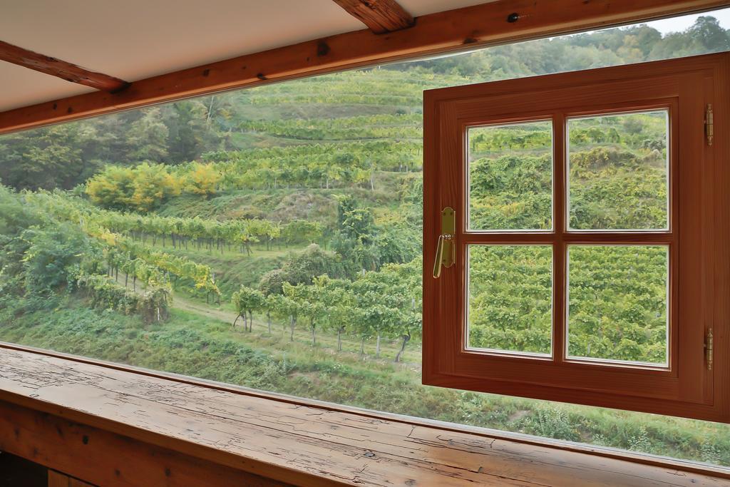 וויסנקירשן אין דר וואכאו Apartement Schlaf Gut - Mitten In Der Wachau חדר תמונה